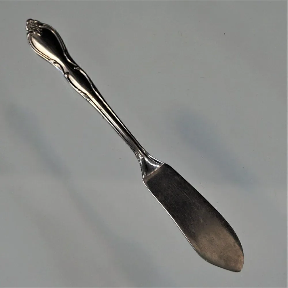 Oneida Wm A Rogers MONTCLAIR Pattern Butter Knife Vintage Stainless Floral Tip